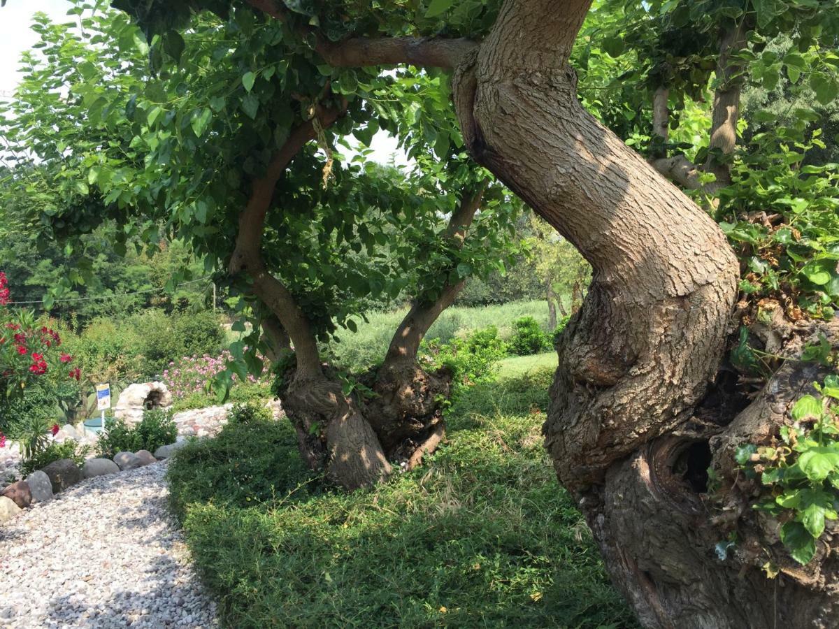 Casal Del Pigno Ξενοδοχείο Πεσκιέρα ντελ Γκάρντα Εξωτερικό φωτογραφία